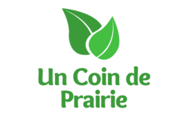 logo-un coin de prairie